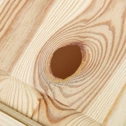 Large knot filled with Knottec filling compound